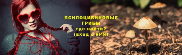 индика Верхнеуральск