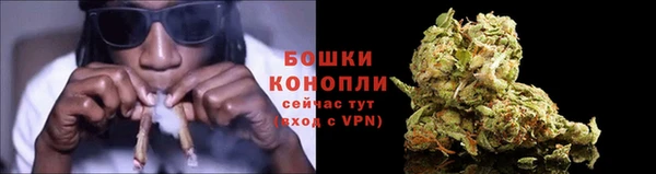 крисы Верхний Тагил