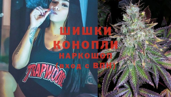 крисы Верхний Тагил