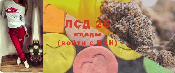 крисы Верхний Тагил