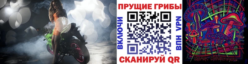 закладка  Лысьва  Галлюциногенные грибы Magic Shrooms 